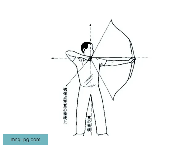 射箭规则解析与技巧分享